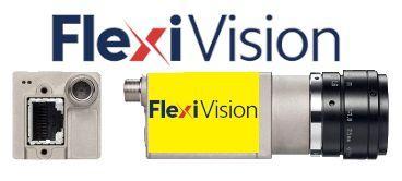 FlexiVision Cognex Bundle 800